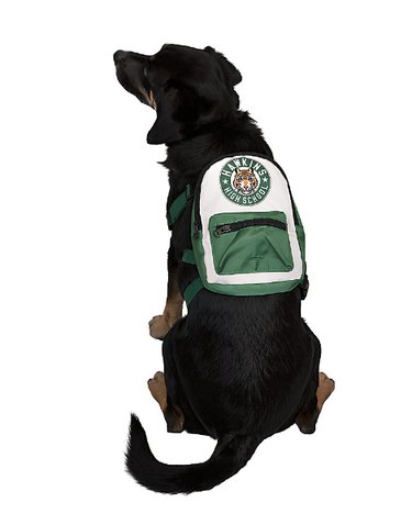 A large black dog wearing the "Stranger Things" backpack harness. The backpack portion has a patch at the top with the lion's face and "Hawkins High School" written in a circle around it.