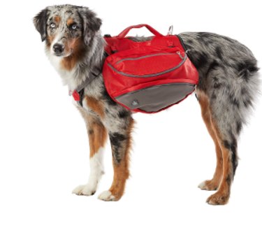 arcadia dog backpack