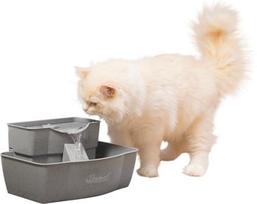 Drinkwell Multi-Tier Plastic Dog & Cat Fountain, 100-oz