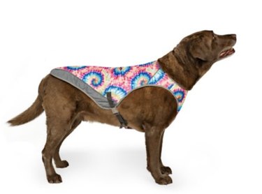 Canada Pooch Cooling Dog Vest