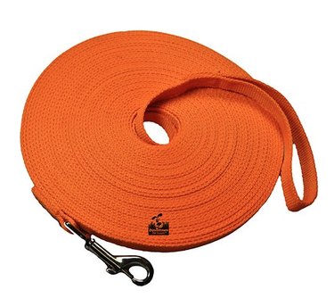 Downtown Pet Supply Training Dog Lead