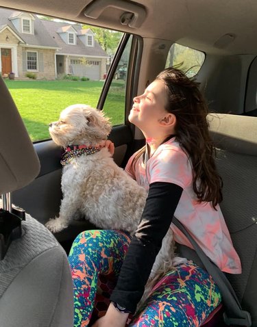 dog and human enjoy open window