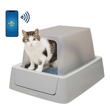 A grey-and-white cat inside of a covered PetSafe® ScoopFree® Smart Covered Self-Cleaning Litter Box.