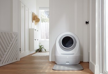 gray leo's loo too automatic litter box in home