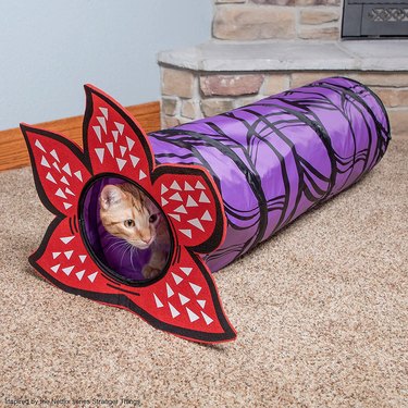 Orange tabby cat in a purple Demogorgon tunnel with a flower-like head at the opening.
