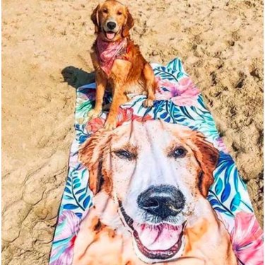 A dog on a beach sitting on a towel with their face printed on it.