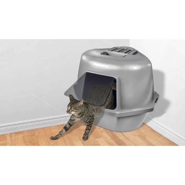 A grey cat exiting a grey Van Ness Corner Enclosed Cat Pan, which features a swinging door and rests perfectly in corners.