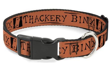 Orange cat collar with a black buckle that has Thackery Binx written around it and the images of two black cats.