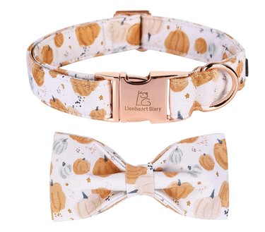 Fabric dog collar and matching bowtie with rose gold hardware. The collar is white with different colored pumpkins that look like a watercolor effect.