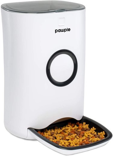 Pawple Automatic Dog and Cat Feeder against a white background. The resevoir holds 20 cups of food and it's disepnsed into a wide, shallow bowl.