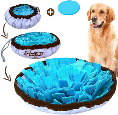 Golden retreiver posing with Tomohauk Snuffle Mat. The mat is shown in three different modes—open, partially closed, and mostly closed to change the level of difficulty for your dog.