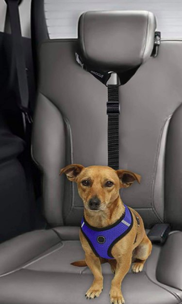 BWOGUE 2 Packs Dog Cat Safety Seat Belt