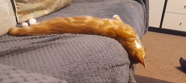 An orange cat is stretching flat on their back on the edge of a couch.