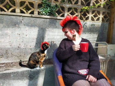 cat stares at woman with mohawk