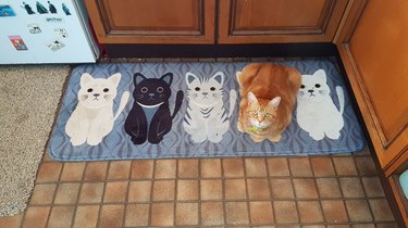 An orange cat "hides" and "blends in" on a cat-themed floor mat.