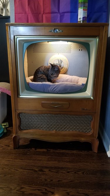A cat is in an old TV which has been turned into a comfy cat bed.