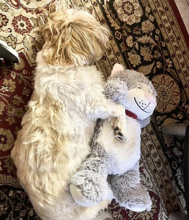 dog cuddling its stuffed kitty