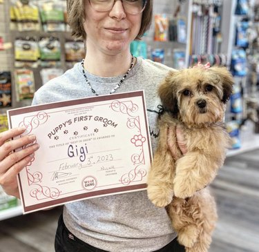 A puppy with a certificate of their first bath.