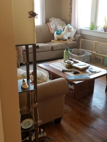 Dog sitting behind coffee table