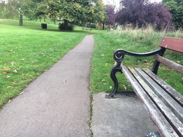 Dog hidden behind park bench