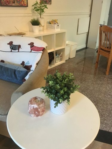 Dog sitting in cube of shelving unit