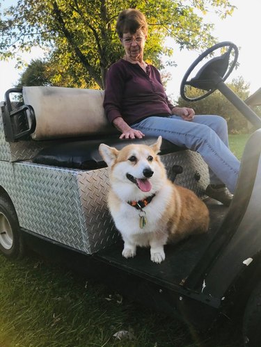 Woman and elderly corgi in utility cart