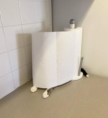 A cat is hiding behind a roll of paper towels.