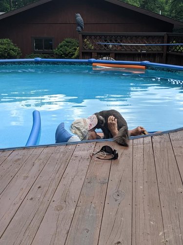 A cat joins a woman on a pool floatie.