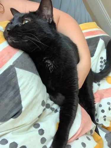 black cat happy to see owner