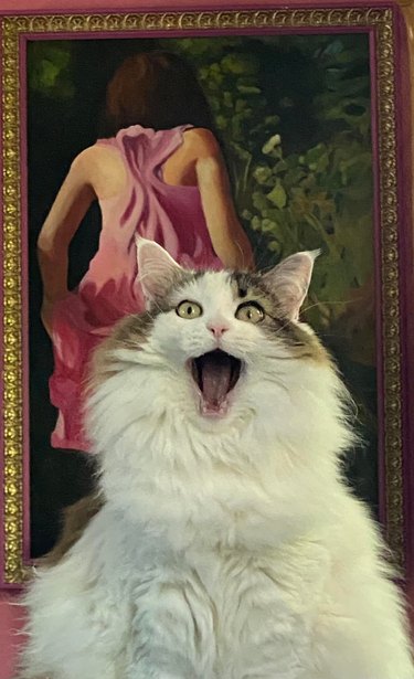 cat with shocked face is standing in front of a painting of a woman