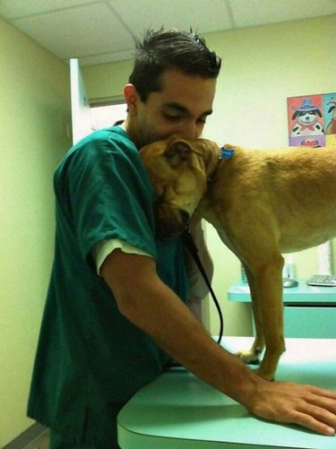 A thankful dog is leaning their head on a veterinarian.
