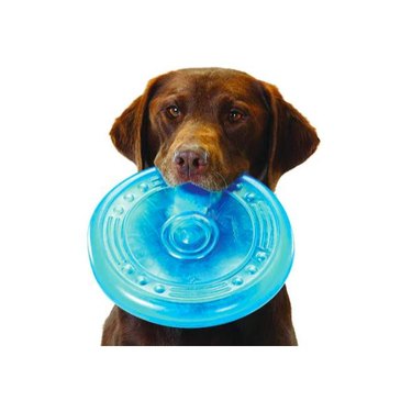 A brown retriever dog holding a blue Petstages Orka Flyer in their mouth