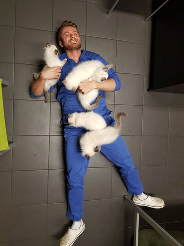 A veterinarian snuggles with five kittens on a floor.