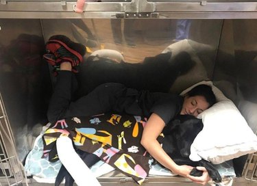 A woman snuggles with a dog who is recovering from surgery.