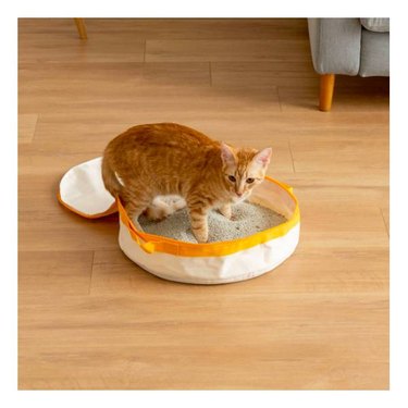 An orange cat in a shallow IRIS Travel Litter Pan