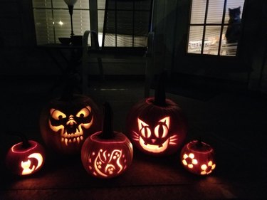 Cat looks out window at carved pumpkins including one of a cat's face.