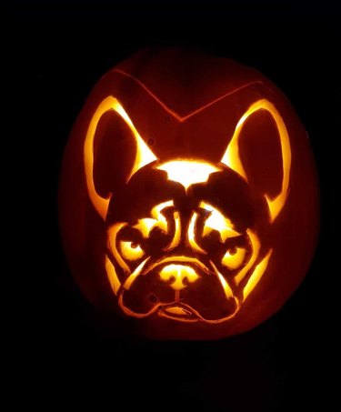 French bulldog jack'o'lantern