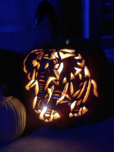 Elephant carved into pumpkin