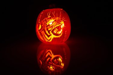 Growling tiger jack'o'lantern