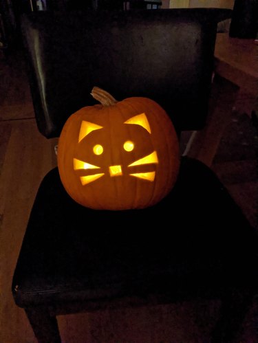 14 More Pumpkins Carved Like Animals | Cuteness