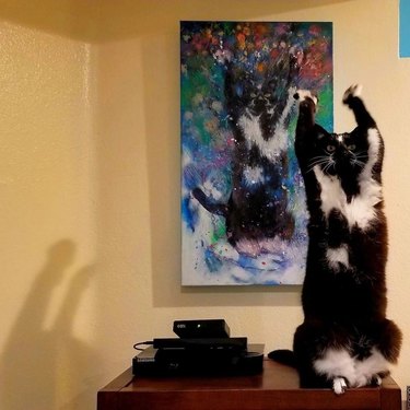 cat sticks arms up just like in a painting of them.