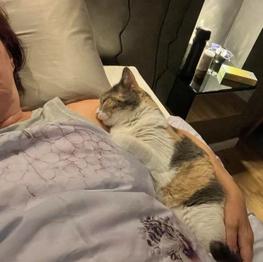 cat sleeps on woman's shoulder.