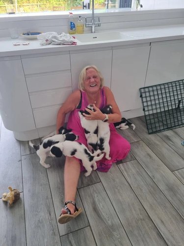 Woman swarmed by black and white puppies.
