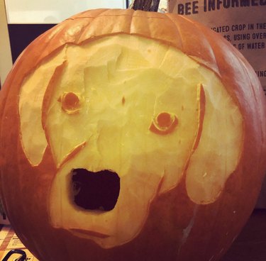 dog carved onto a pumpkin with the nose open for the light section.