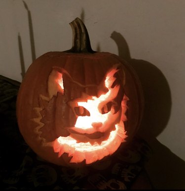 Jack-olantern carved into a cat.