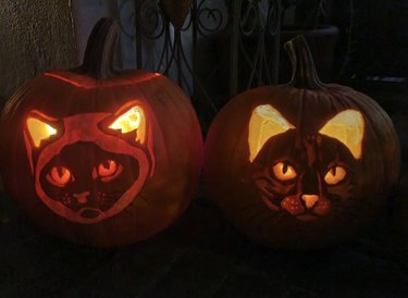 two cat jack-o-lanterns.
