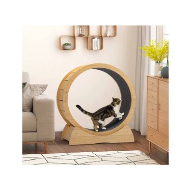 A grey and white cat running in a carpeted COZIWOW Cat Exercise Wheel