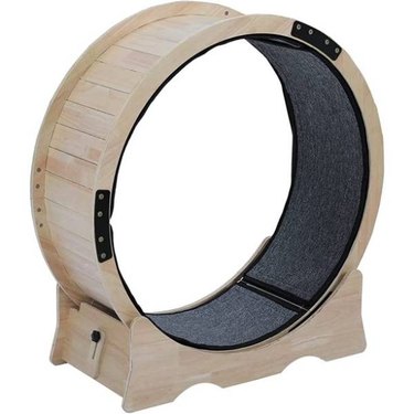 A light wood cat exercise wheel with dark grey carpeting lining the inner track