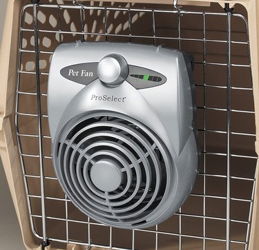 Cool Pup Crate Fan With Built-In Thermometer hooked onto the door of a wire dog crate. The fan is silver and has two speeds.