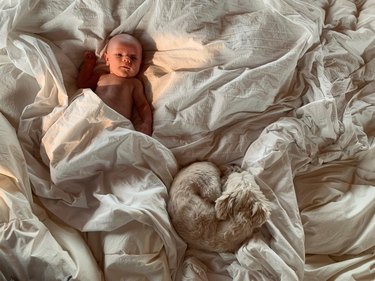 Baby and dog on fluffy white bedding.